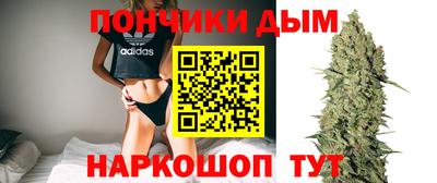 мдпв Будённовск