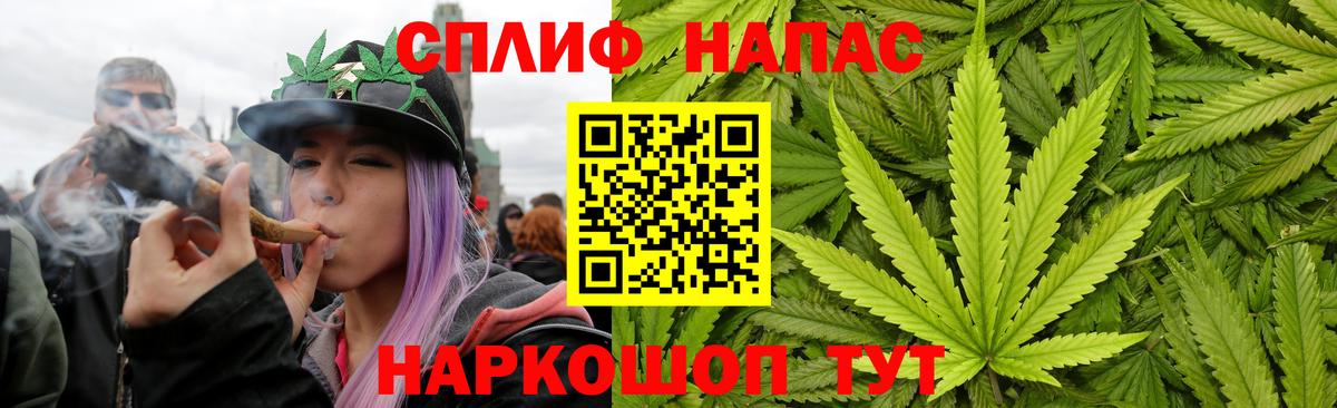 Шишки марихуана планчик  Каннабис White Widow  МАРИХУАНА план  Вход с VPN  Арсеньев 